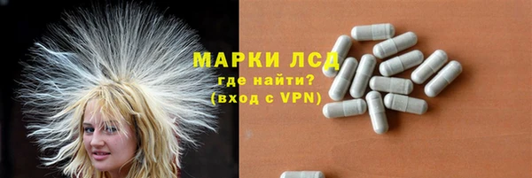 гидра Снежногорск