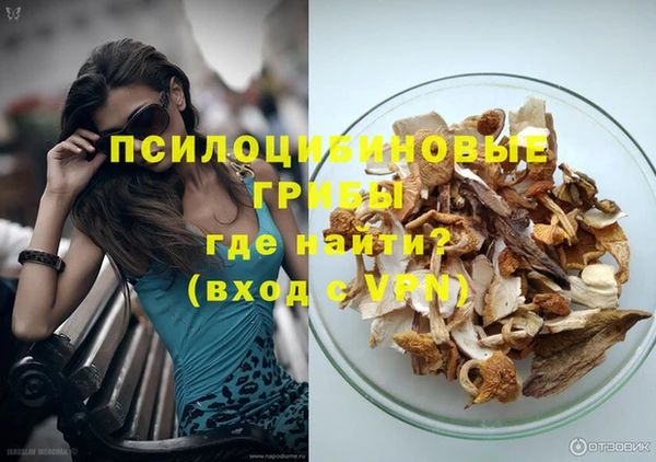 PSILOCYBIN Алексеевка