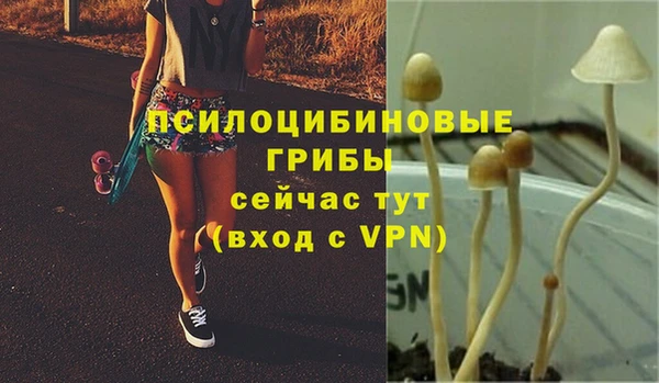 гашишное масло Алзамай